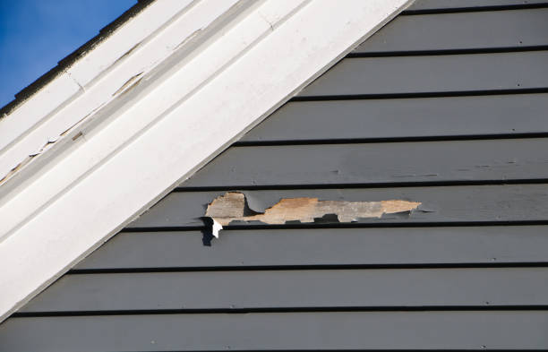Best Demolition Debris Removal  in Fishers, IN